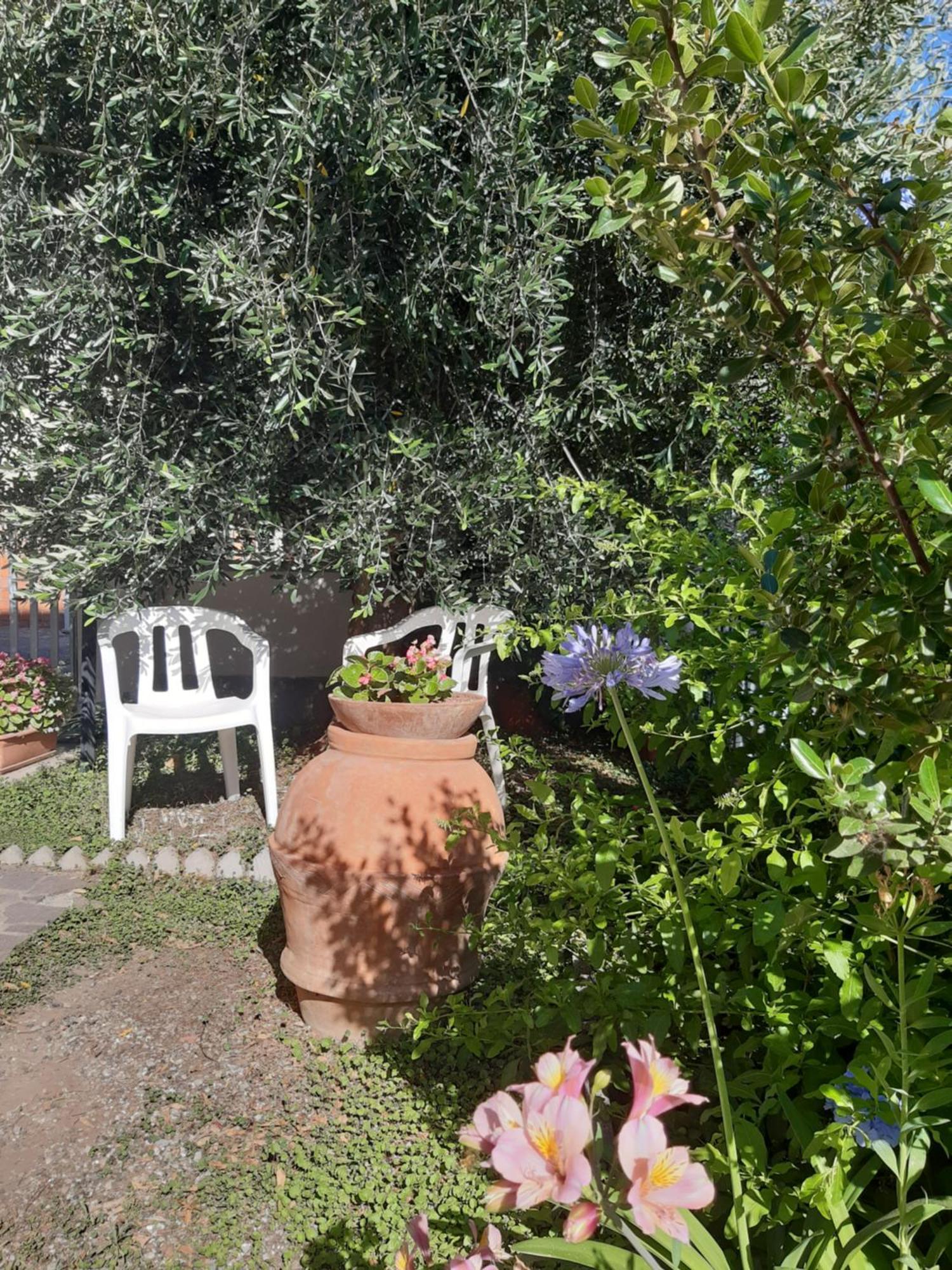 Apartament Casa Dino Rosignano Solvay Zewnętrze zdjęcie
